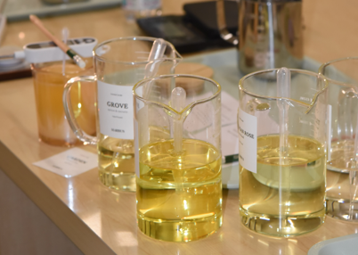 الورشات الحضورية