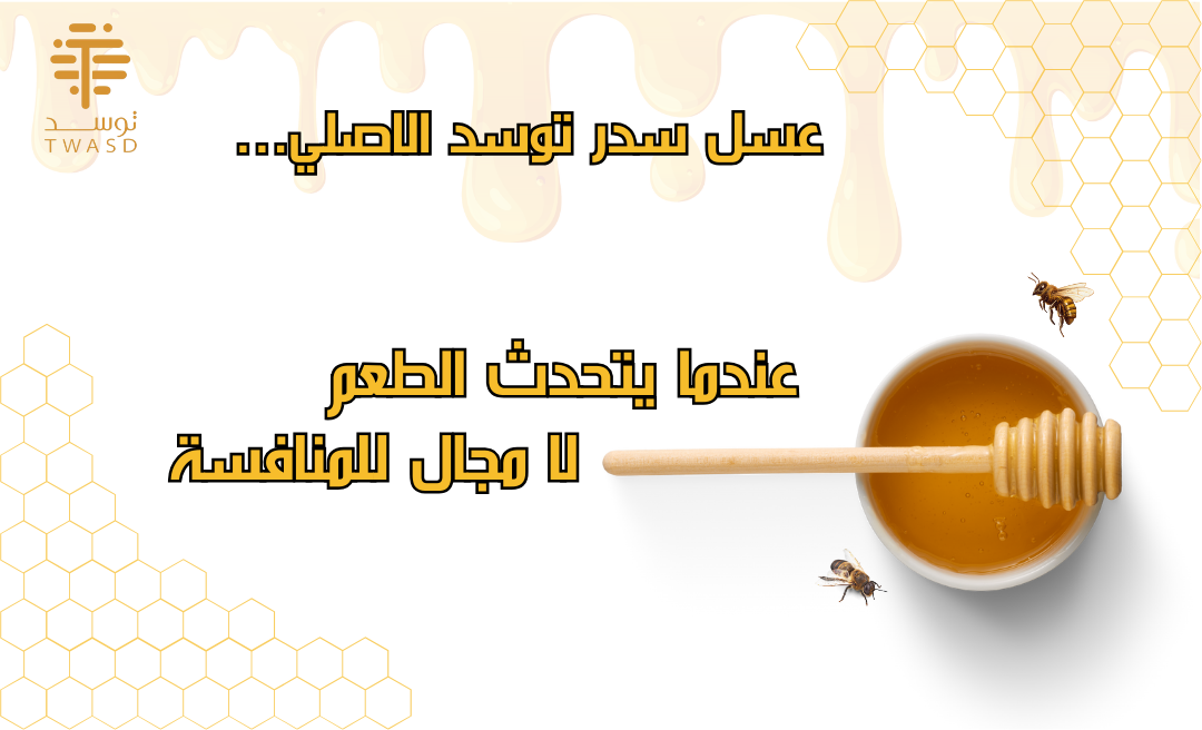TWASD image-slider-2