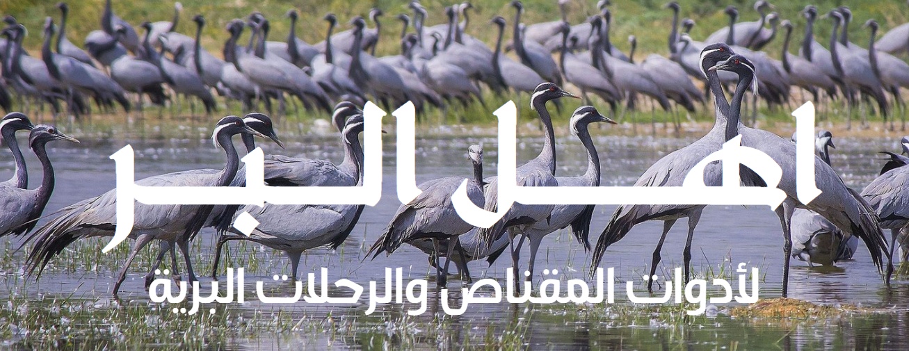 اهل البر image-slider-0