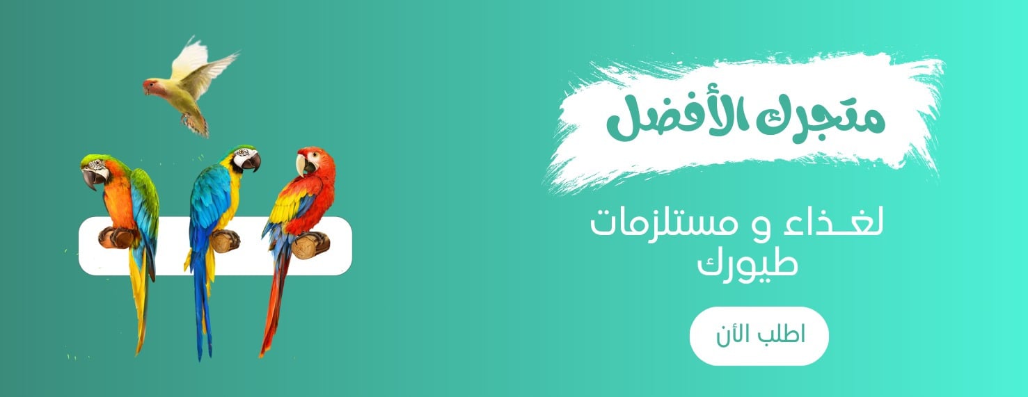 متجر طائر الروز image-slider-1