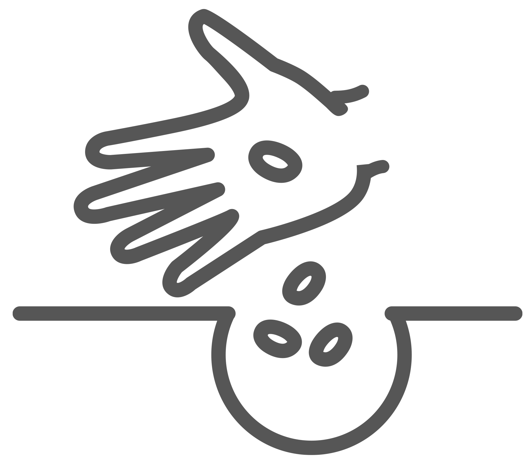 البذور الزراعية image