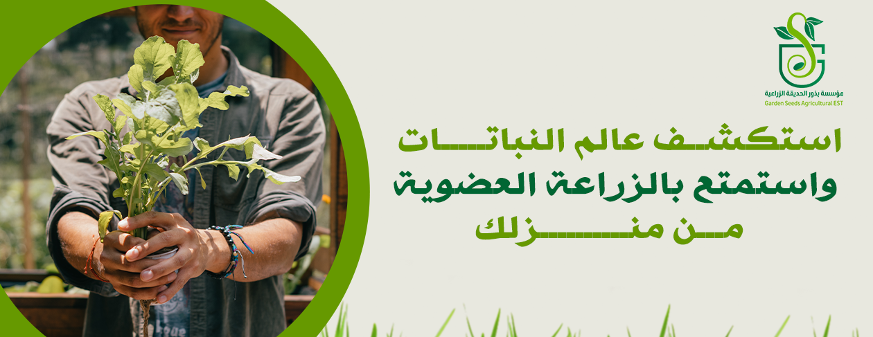 banner-slide