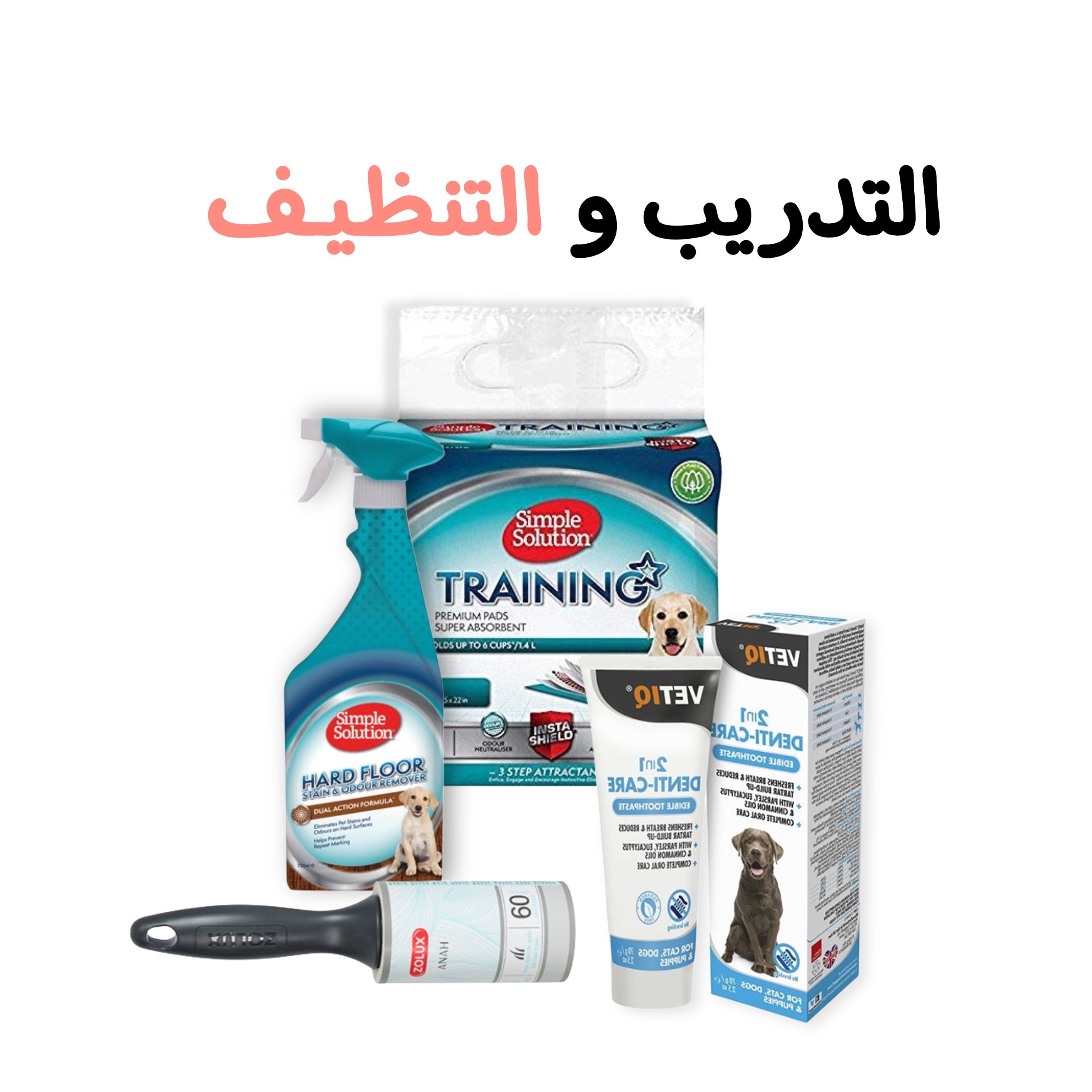 التـدريب و التنظيف للكلاب