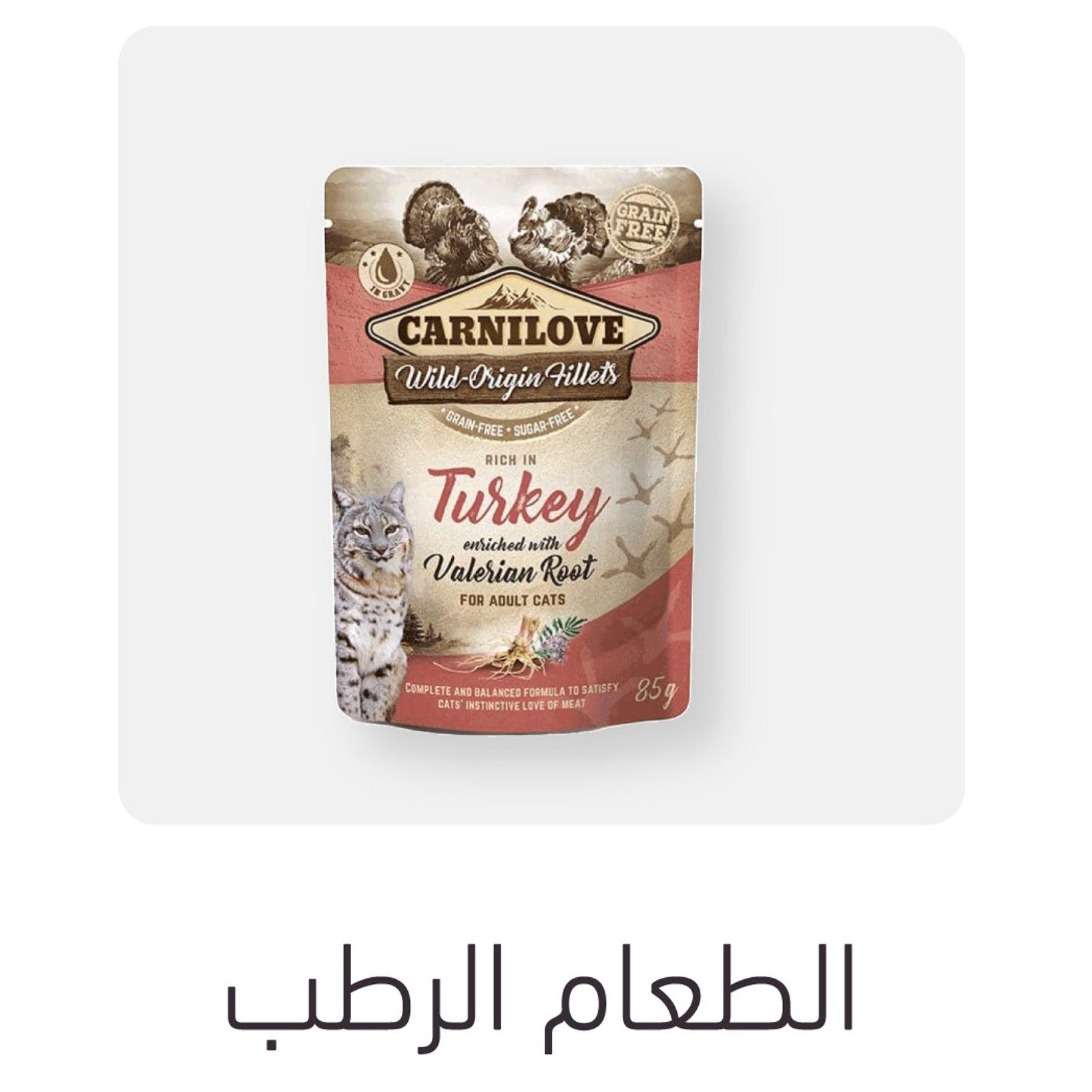 الطعام الرطب