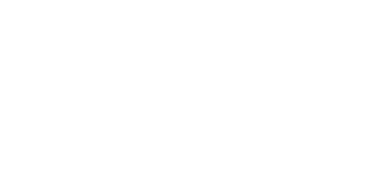 Elico Store