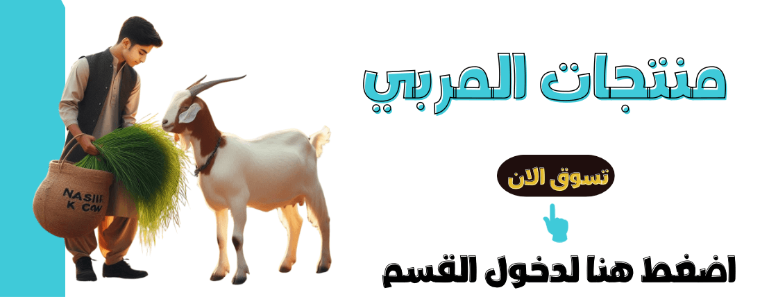 سيلين image-slider-0