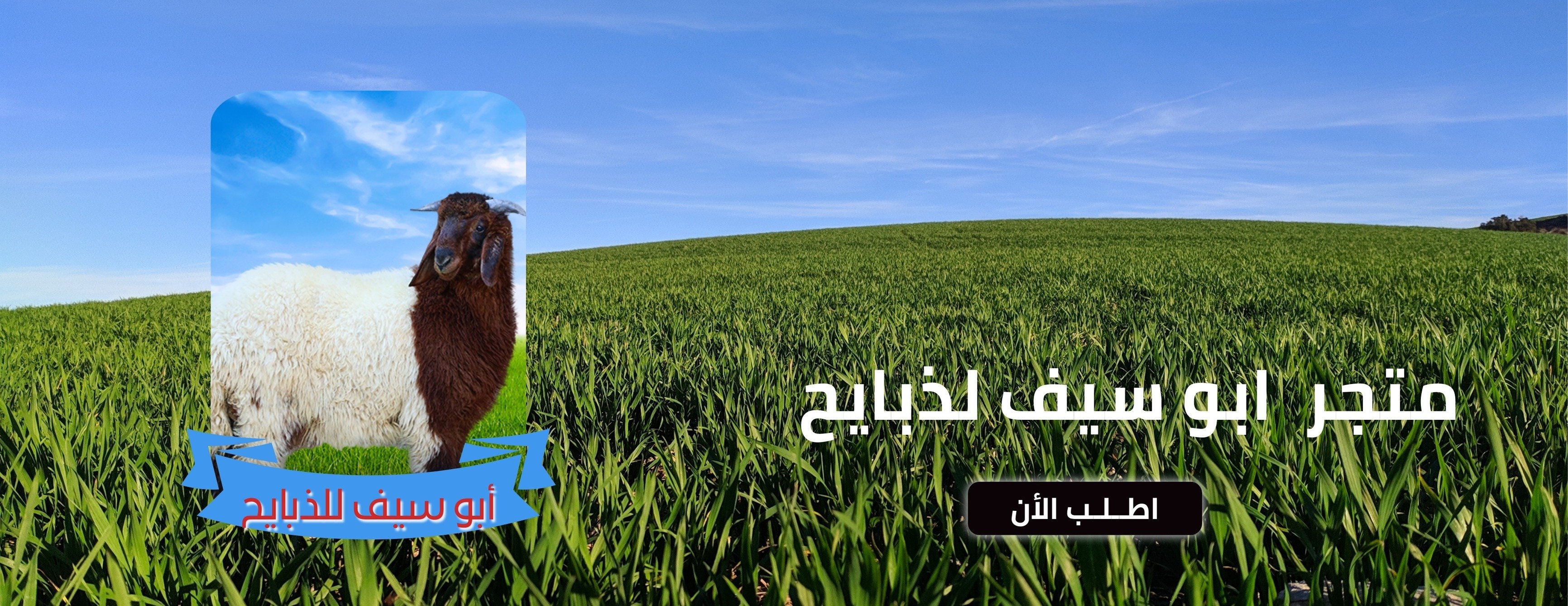 fixed banner