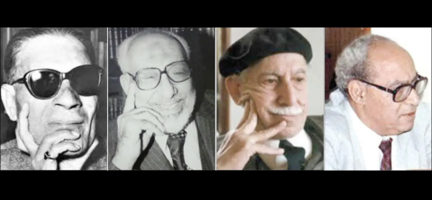 الدراسات الأدبية