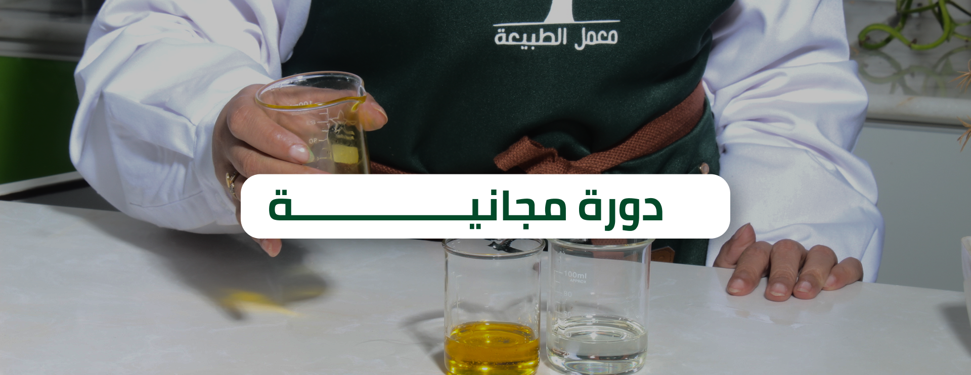 صورة من المعرض