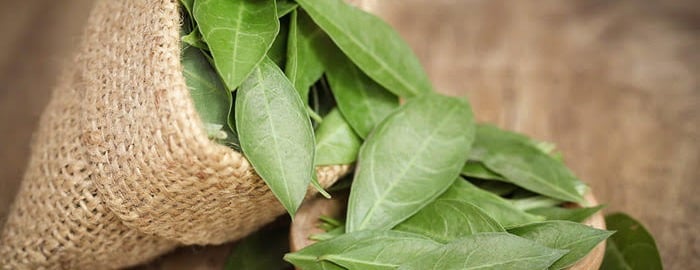 حناء مزارع الحمدان image-slider-0