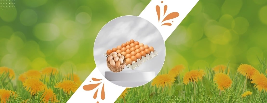 مراعي القاضي image-slider-2