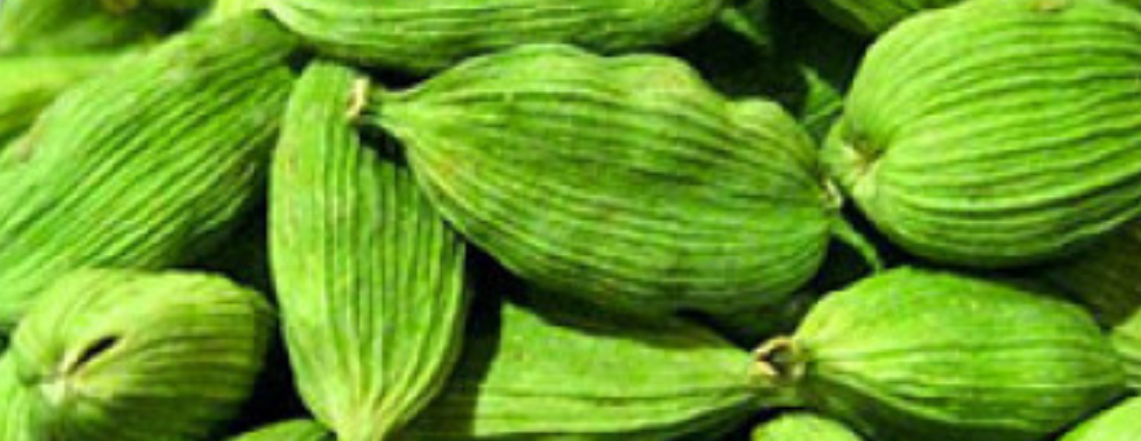 قهوتي image-slider-0