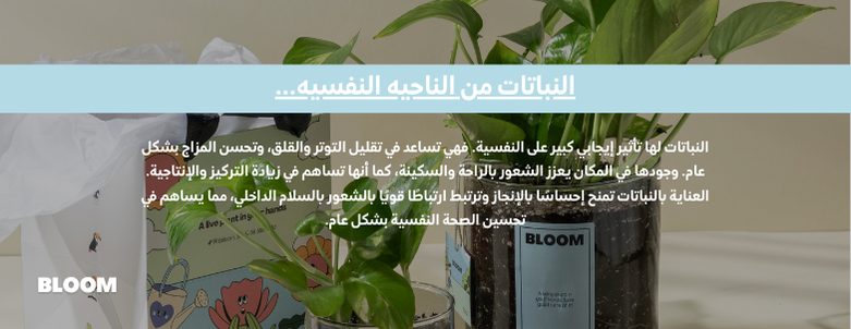 بــلـوم BLOOM image-slider-1
