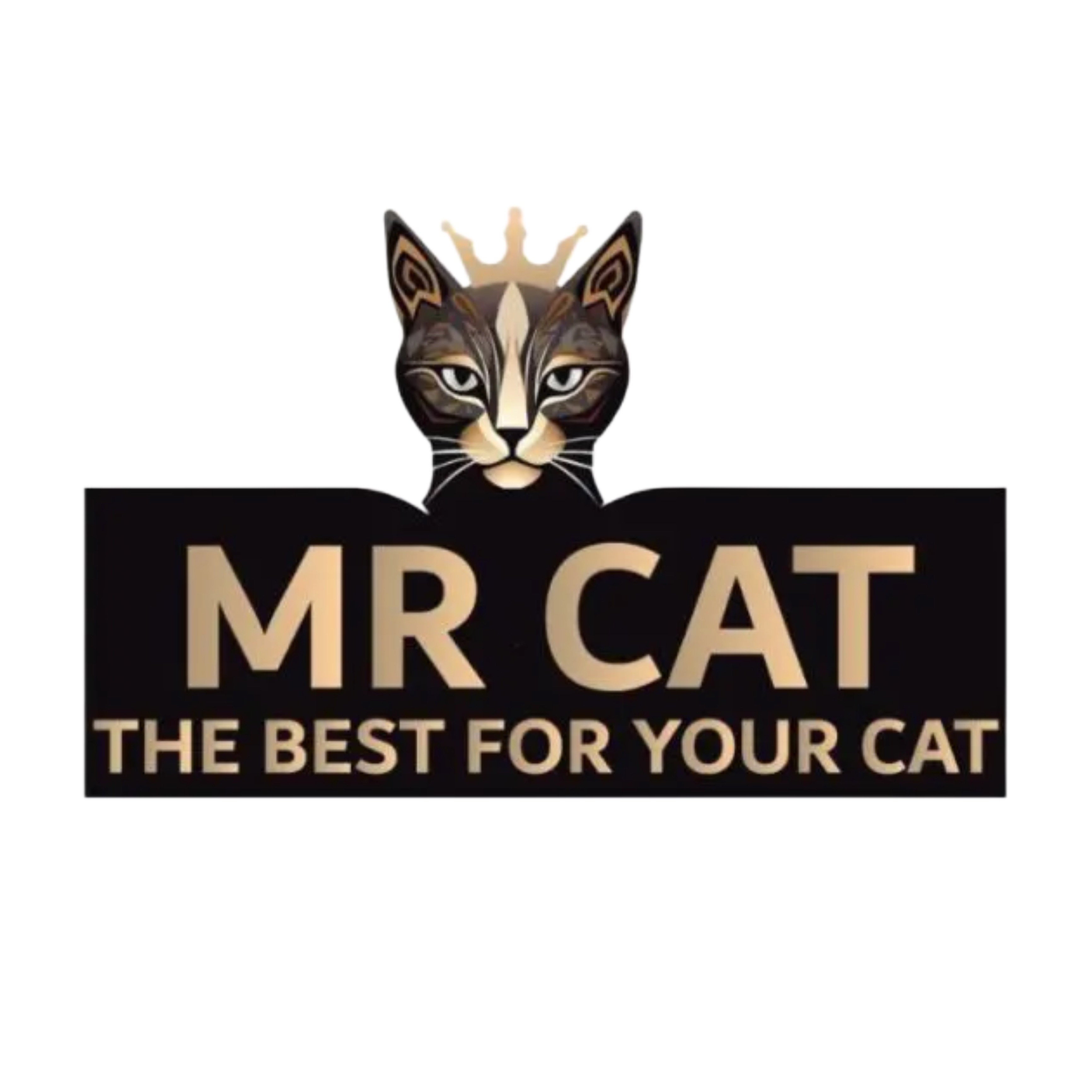 رطب مستر كـــــــــات