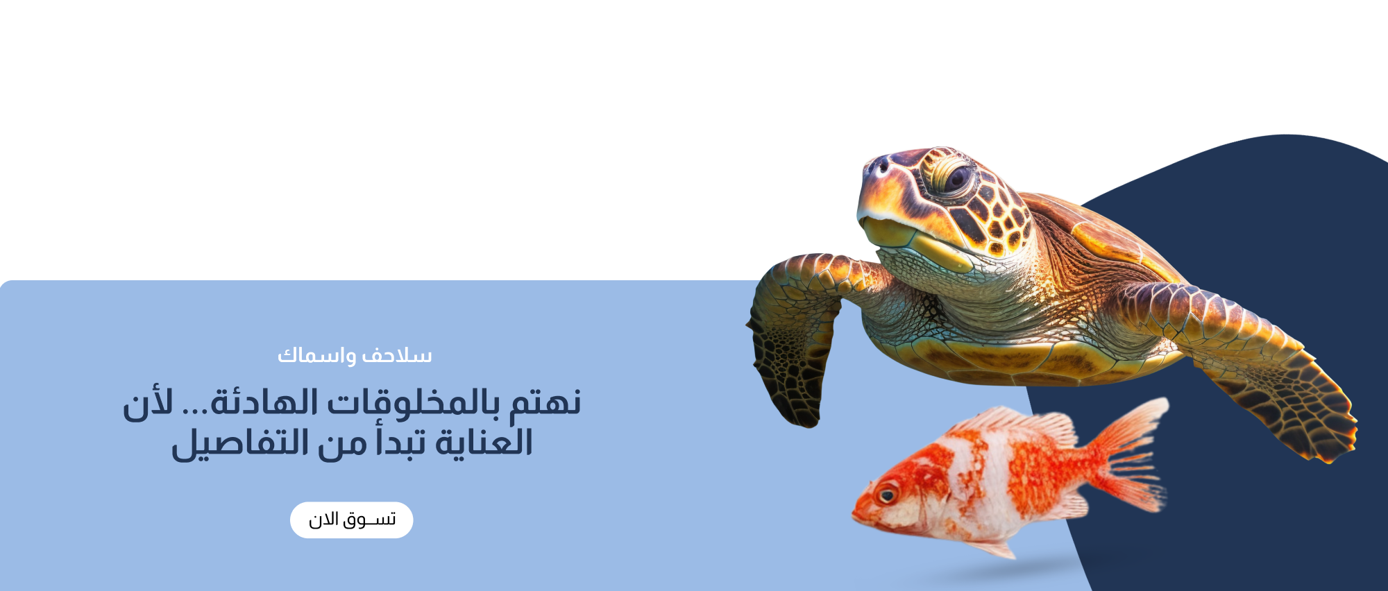fixed banner