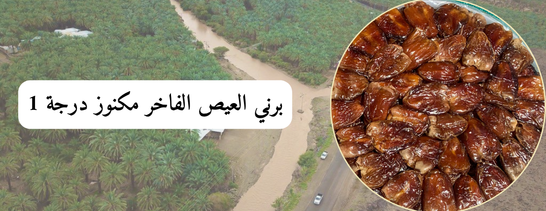 برني العيص image-slider-0