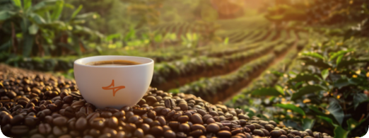 وزن ٢٥٠ جرام banner