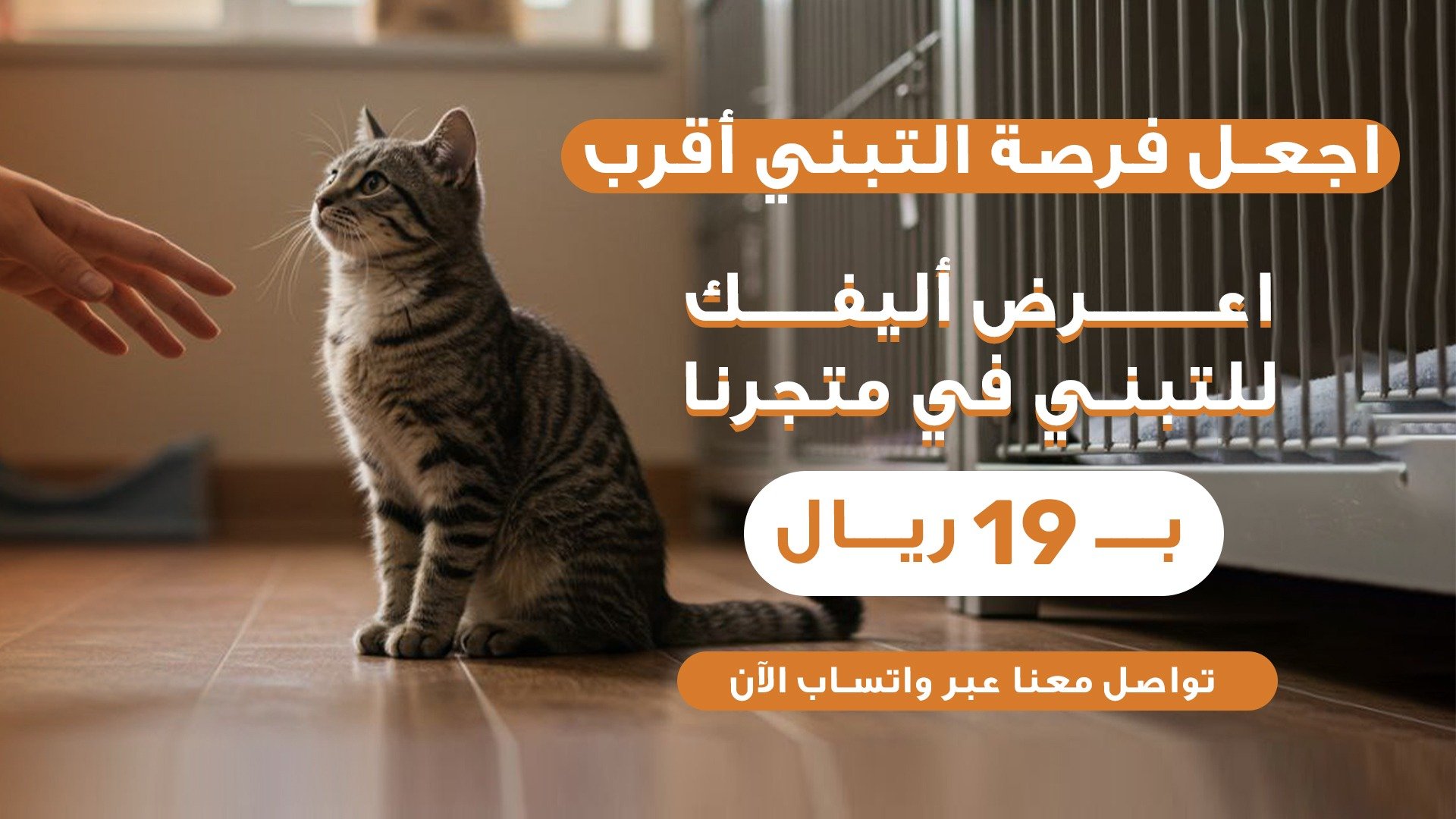 بيت الأليف