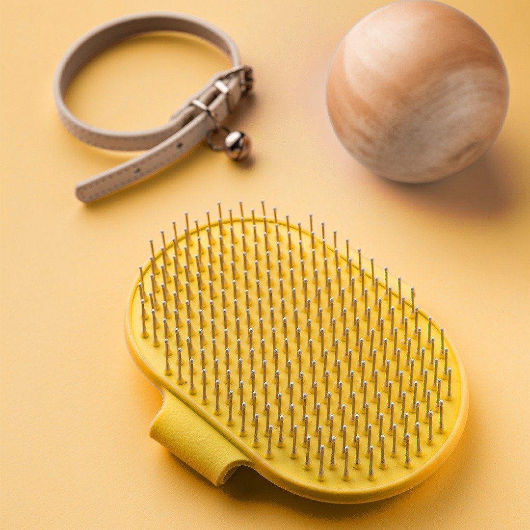 الاكسسوارات