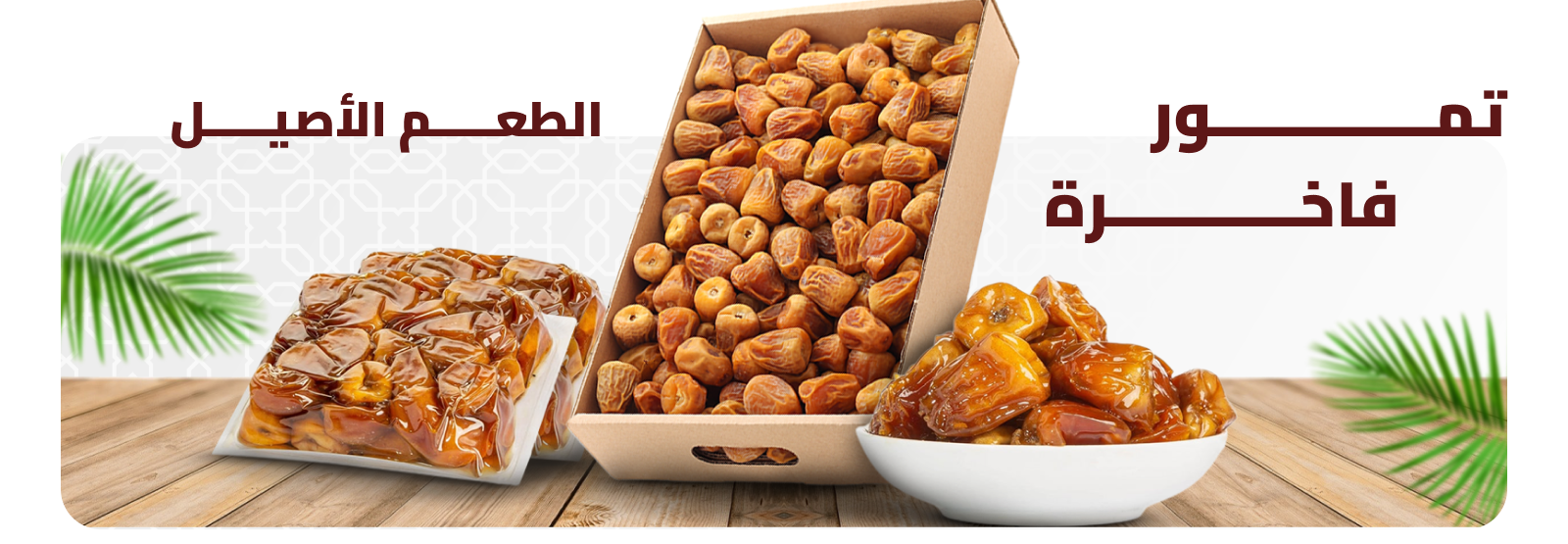 tamra image-slider-0