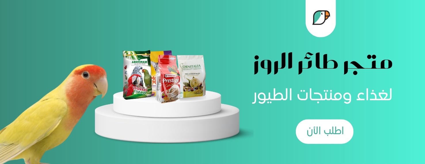 fixed banner