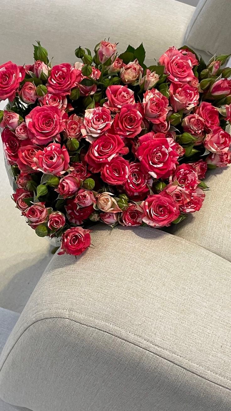 نورا السلطان