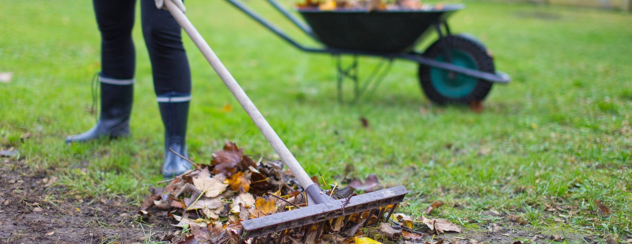 كلين جاردن | Clean Garden image-slider-2