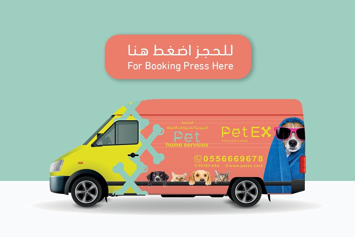 الخدمة المنزلية