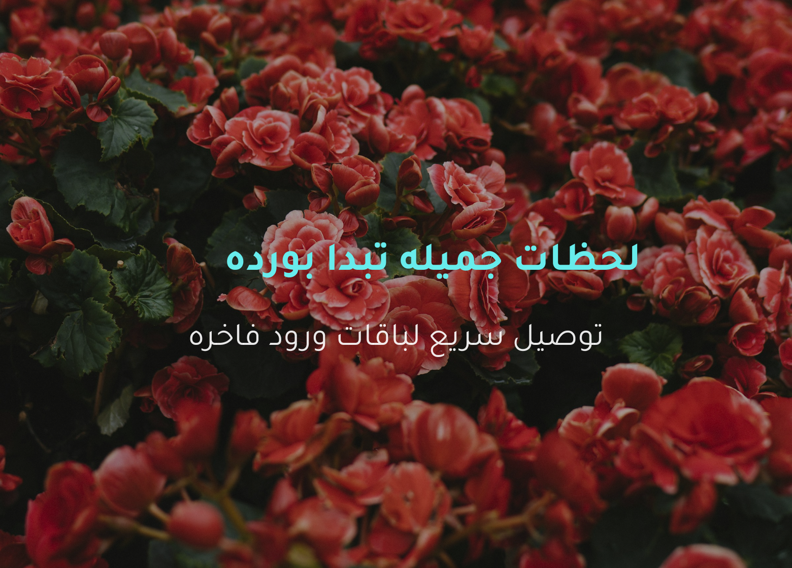 لحظات جميله