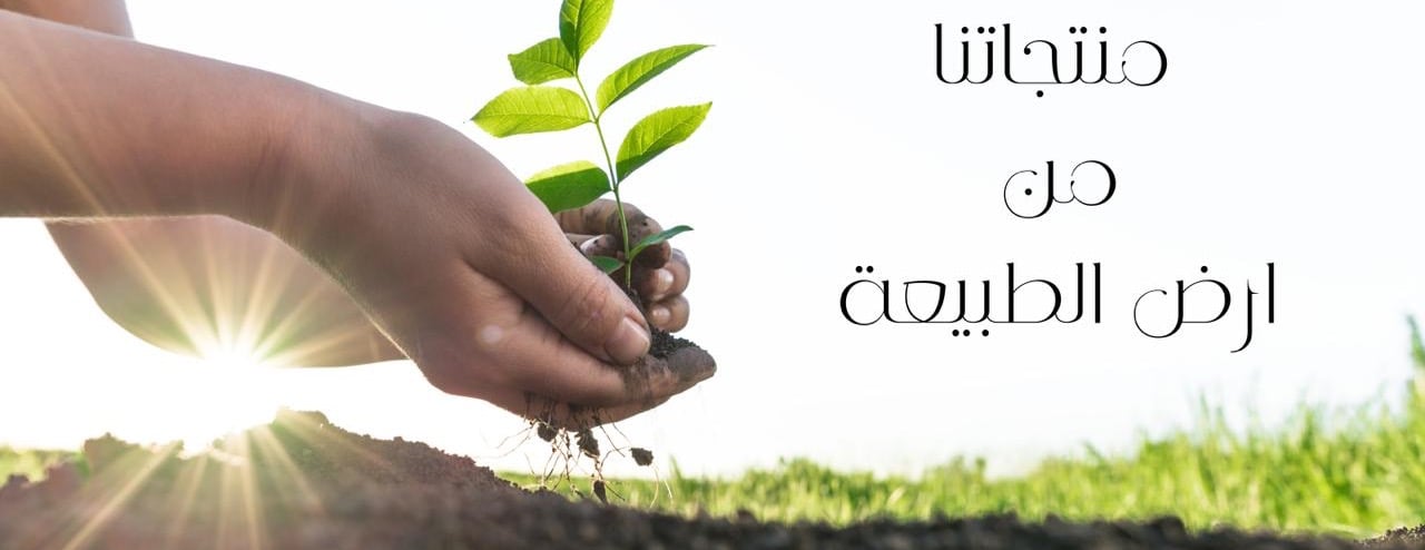أوراق الطبيعه image-slider-0
