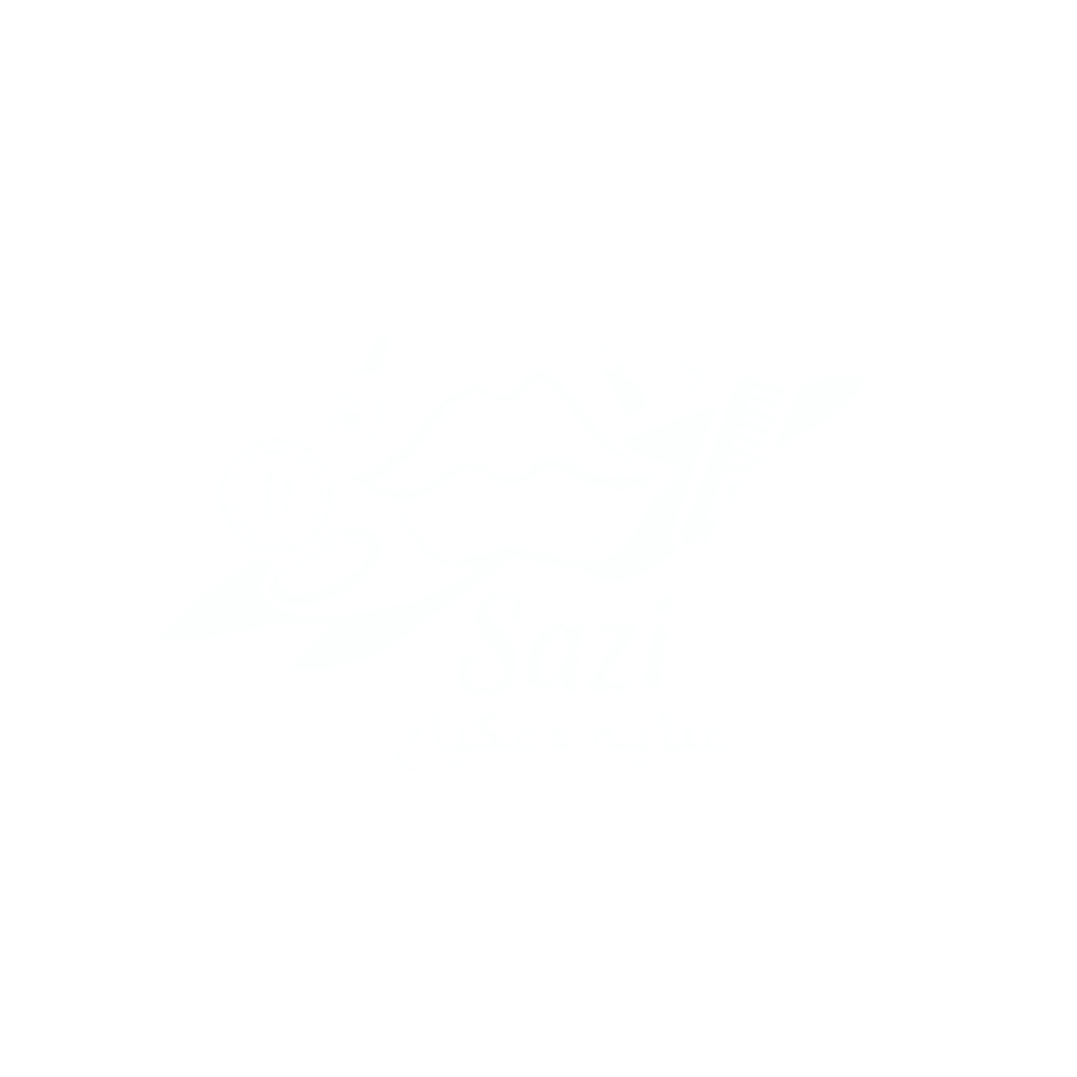 footer logo