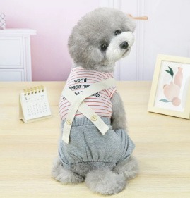 ملابس حيوانات