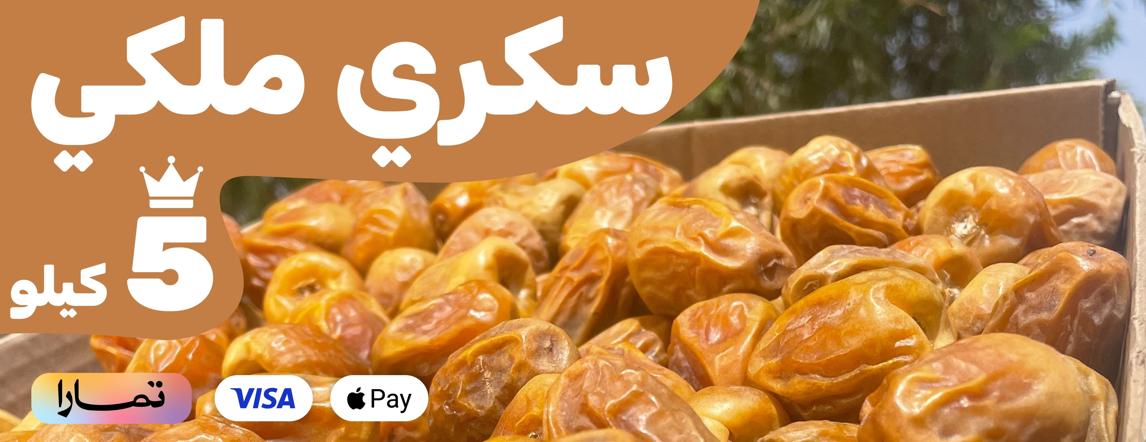 تمور الريان image-slider-0