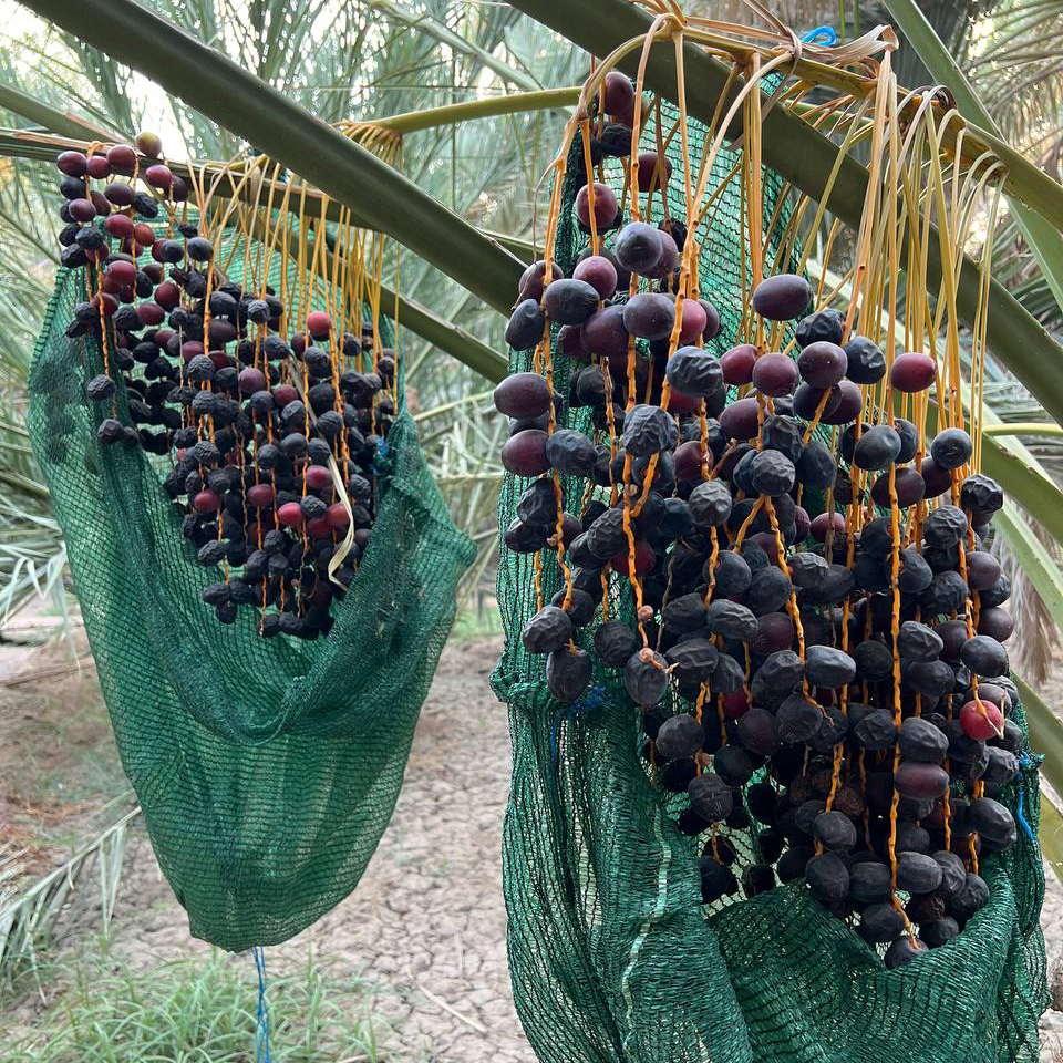 Special products slider