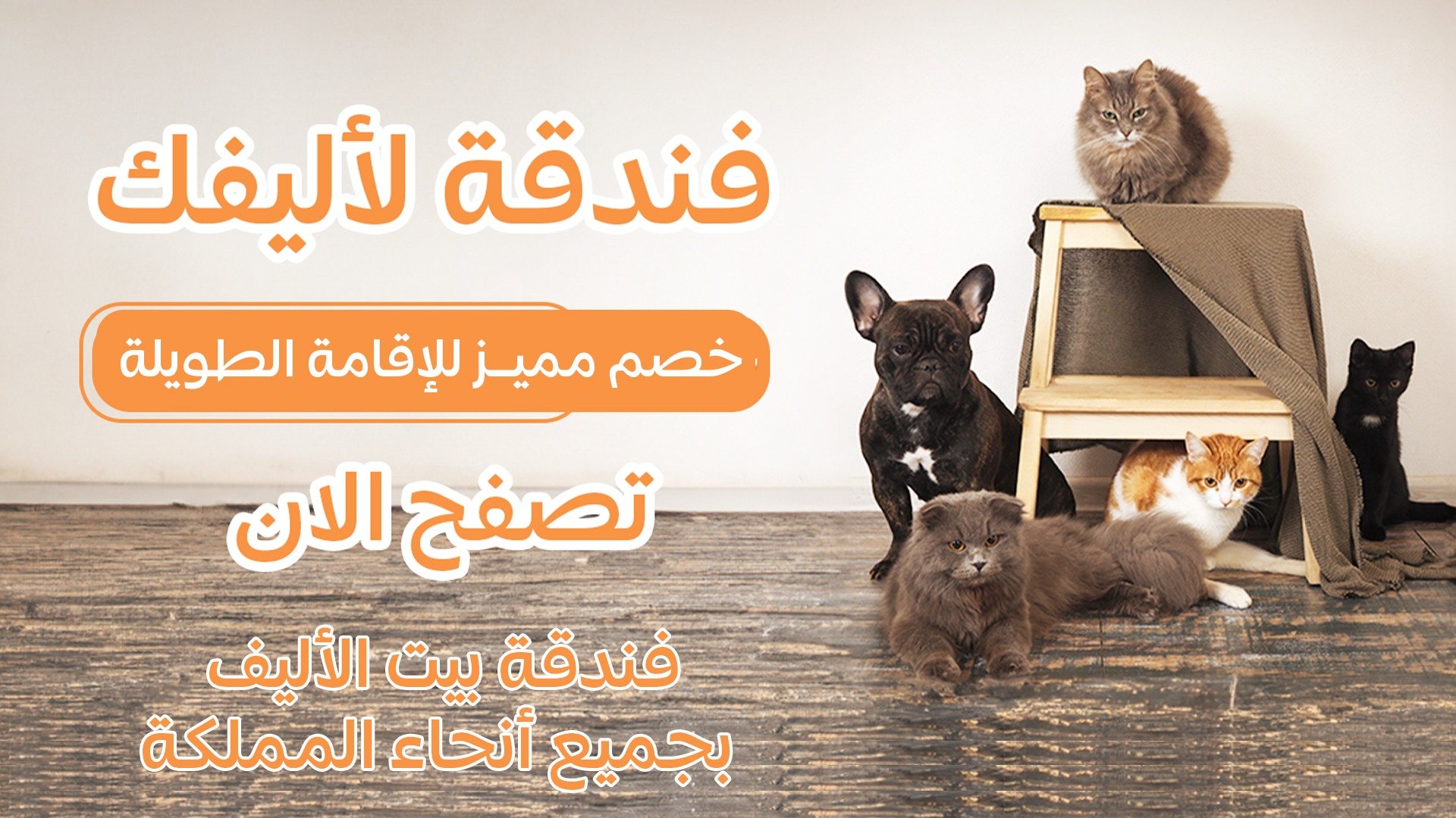 بيت الأليف