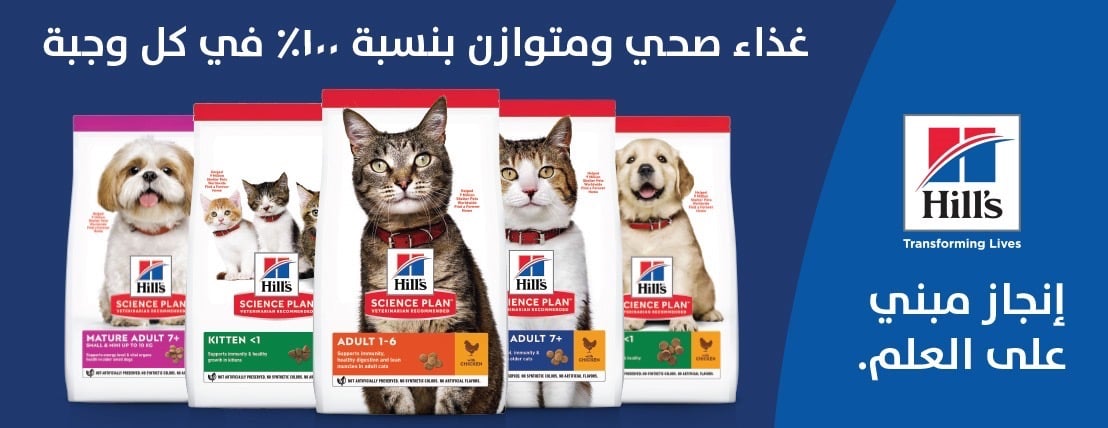 حياة الطيور image-slider-1