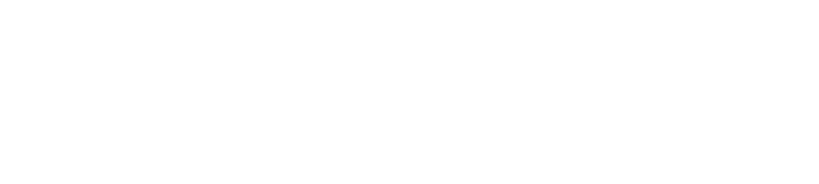 shaden.shop