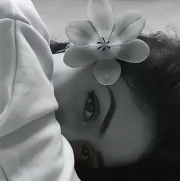 هديل الانيقه