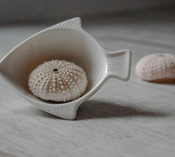 Banner منتجات التقديم