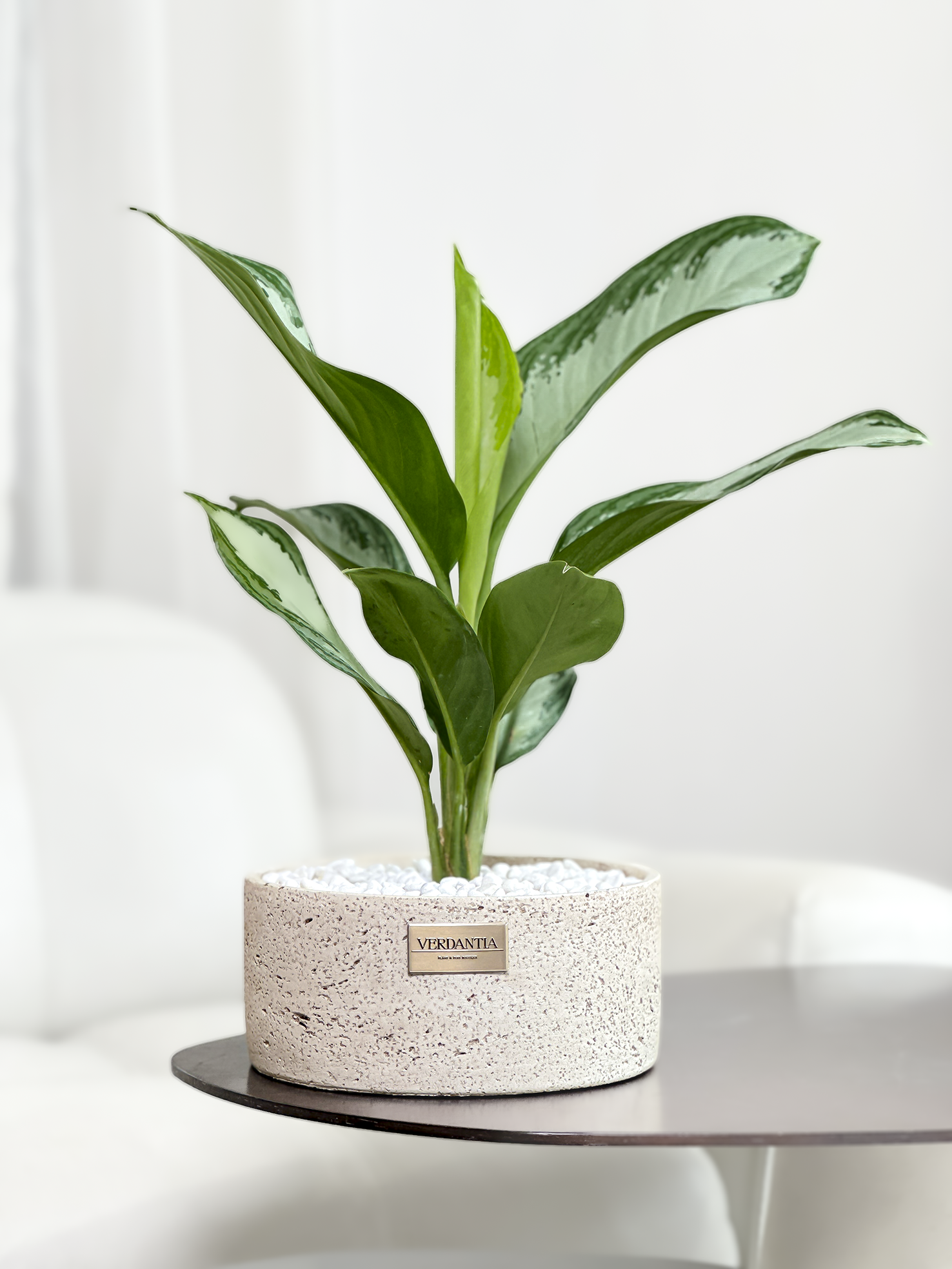 Special products slider