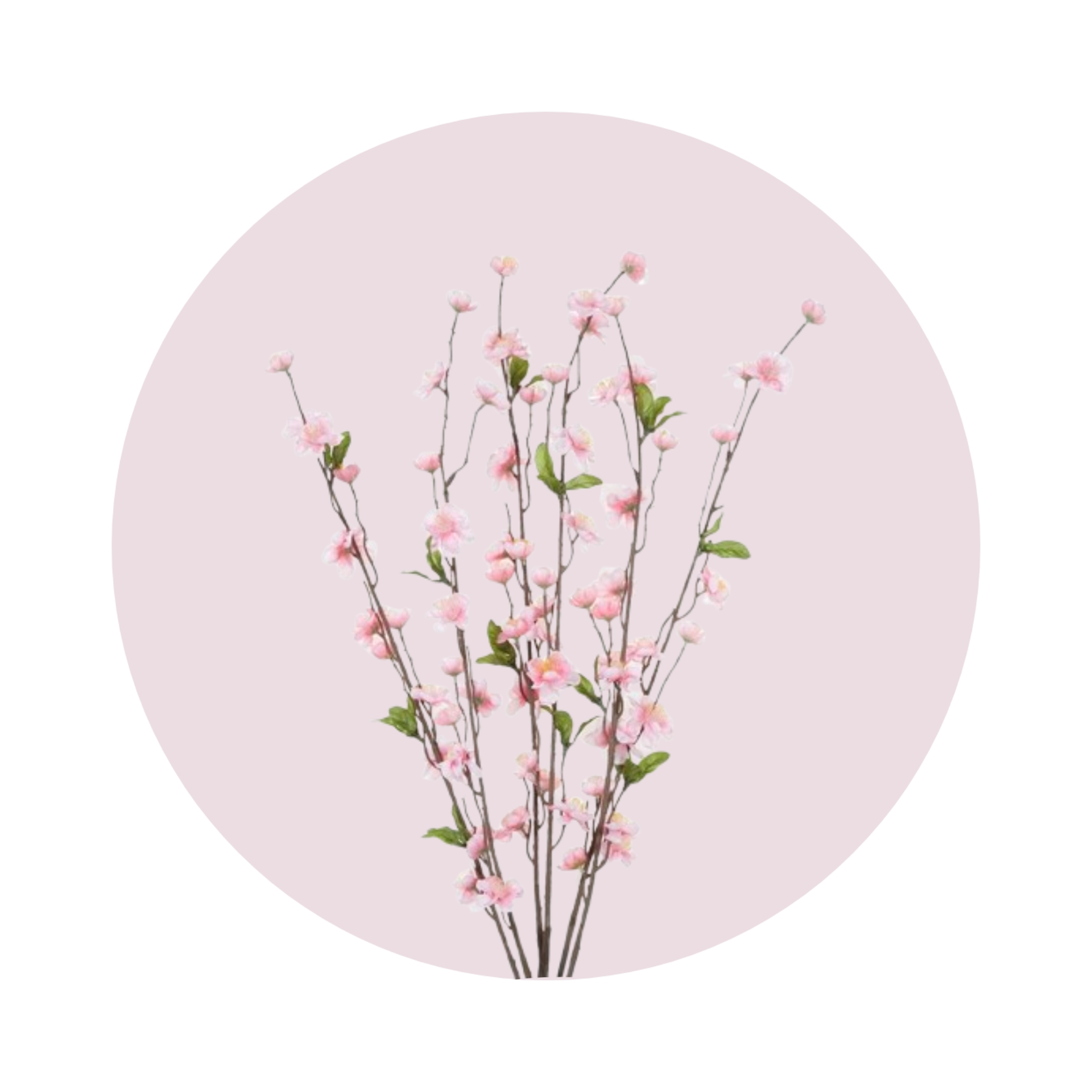 اكسسوار ورد وازهار