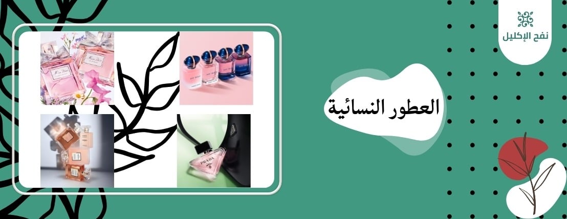شركة نفح الاكليل image-slider-3