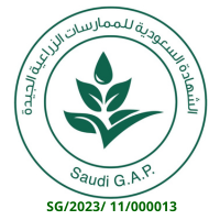 certificate-3