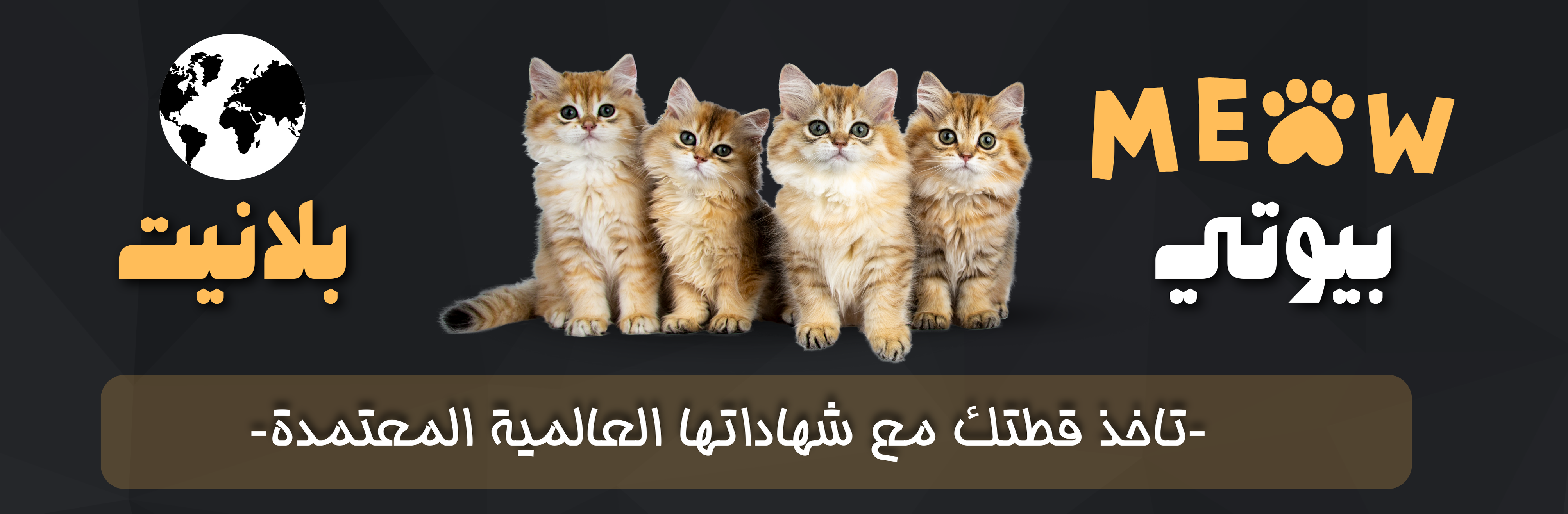 fixed banner