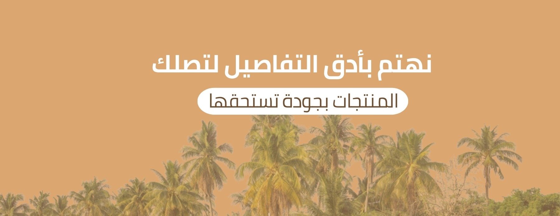 مزارع العايش للتمور image-slider-0