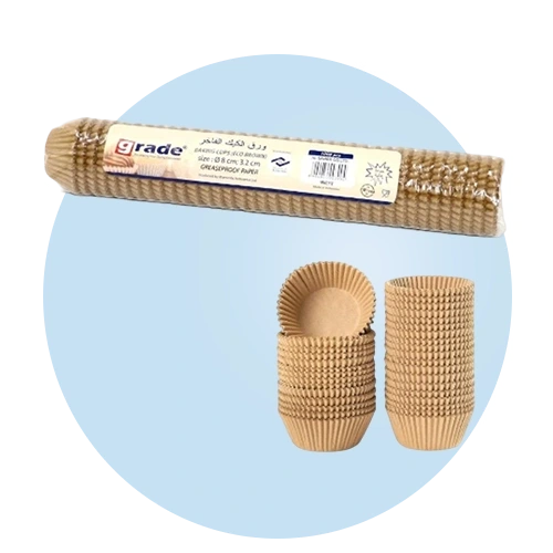 بلاستيكيات و ورقيات