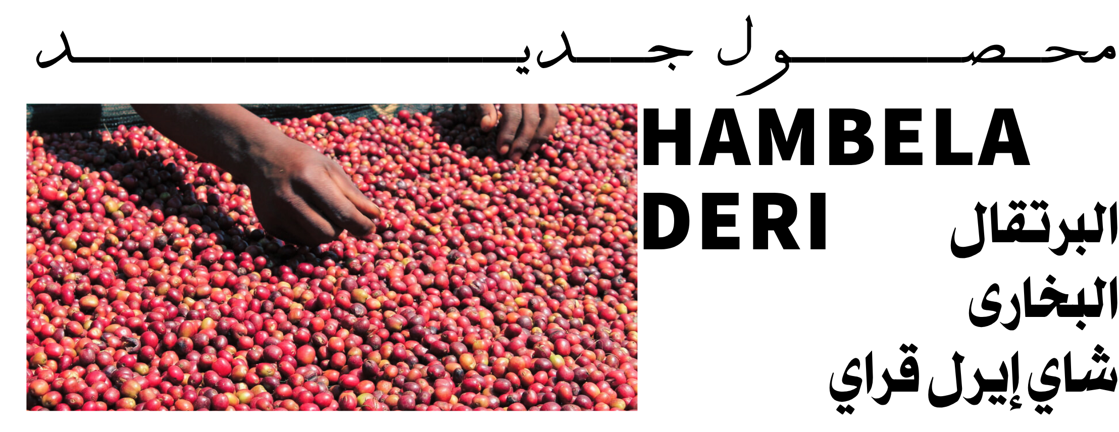 شبراق متجر البن الأخضر المختص image-slider-0