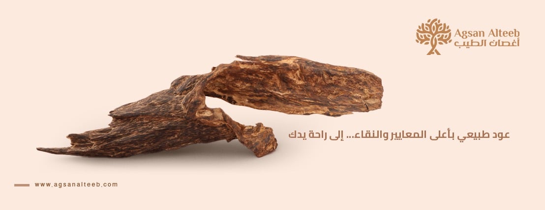 أغصان الطيب image-slider-1