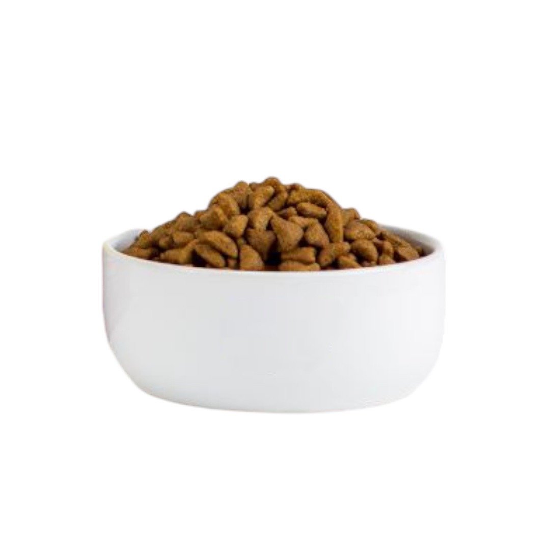 منتجات لطــعـــام الجــــاف