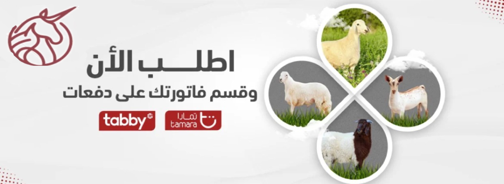 fixed banner
